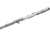 <b>Roland Aerophone BRISA AE-BRISA Flauta Transversal Digital</b> <b>Roland Aerophone BRISA AE-BRISA Flauta Transversal Digital</b>